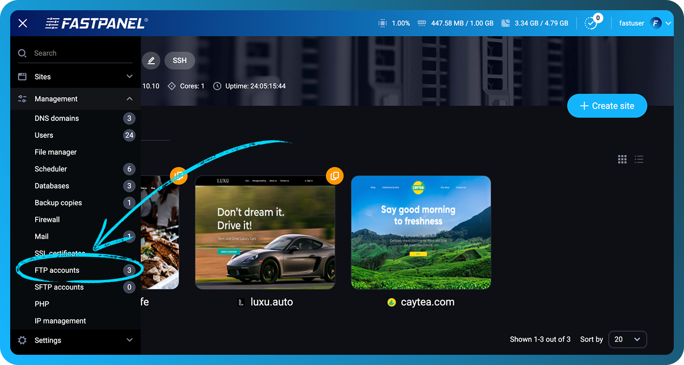 FTP accounts management in FASTPANEL