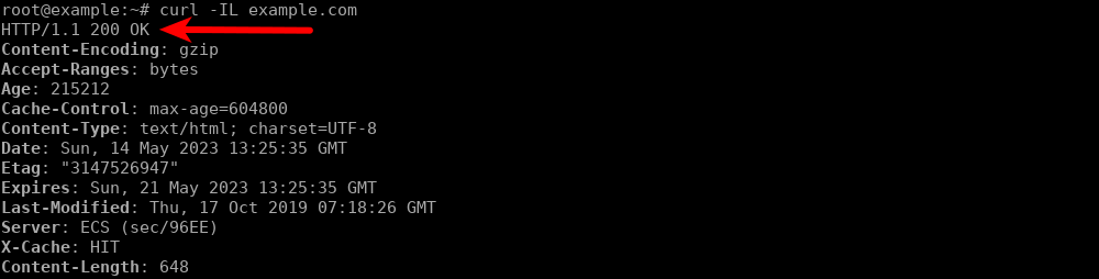 Erstes Beispiel für den curl-Befehl